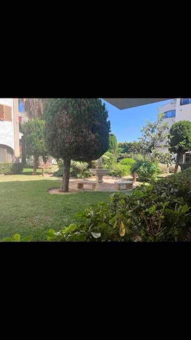 Estudio Montanar A 50 Metros Del Mar Javea Dış mekan fotoğraf